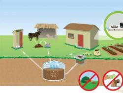 Технология получения и производства биогаза из навоза Как сделать биогаз в домашних условиях